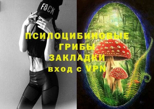 гидра Красноперекопск