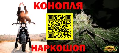 mdpv Аргун