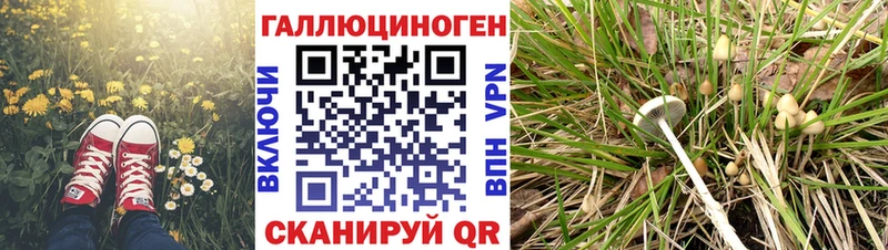 Галлюциногенные грибы мицелий  где найти наркотики  Бийск 