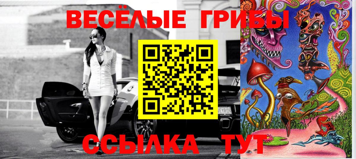 Псилоцибиновые грибы прущие грибы  Бийск 